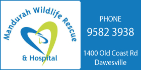 Mandurah Wildlife Hospital